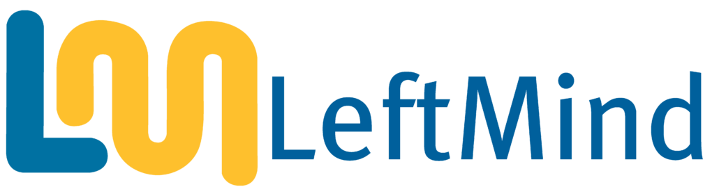 Left Mind Fractional CFO